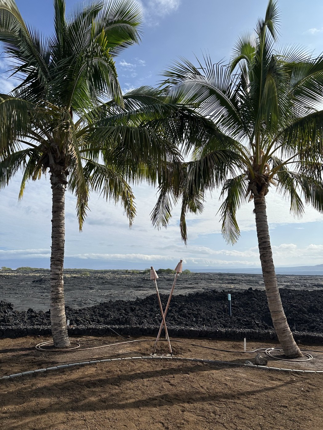 Pair of tikis standing between palm trees on a Big Island property